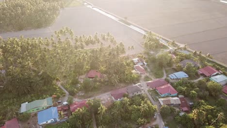 Luftaufnahme-Eines-Malaysischen-Dorfes-Mit-Kokosnussumrandung-In-Penaga,-Penang.